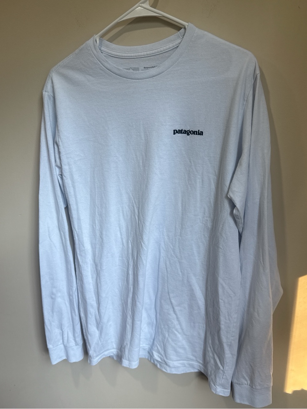Patagonia Light Blue Long-Sleeve Logo Tee